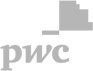 PWC logo grey